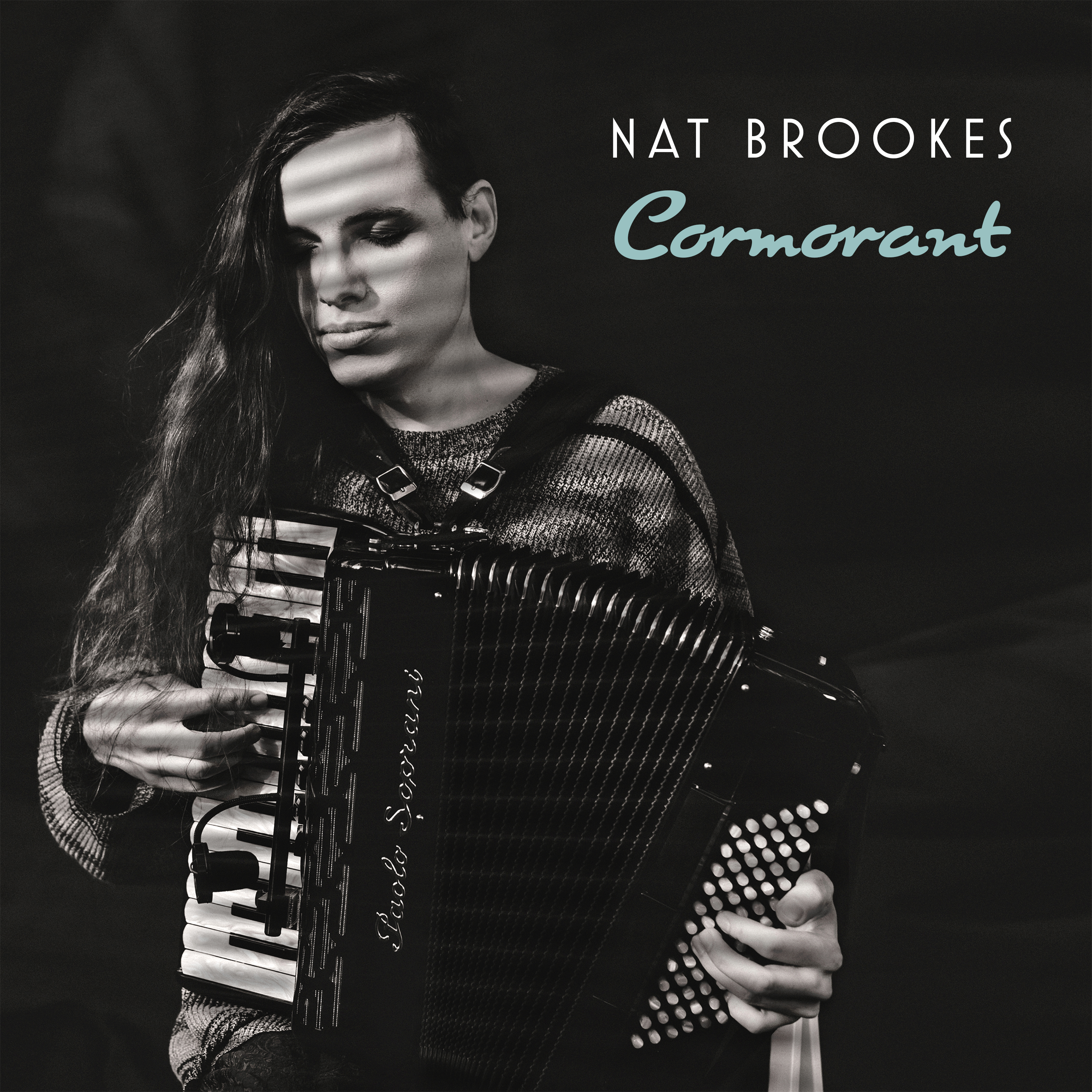 Album Cover hi res Nat Brookes Cormorant 1